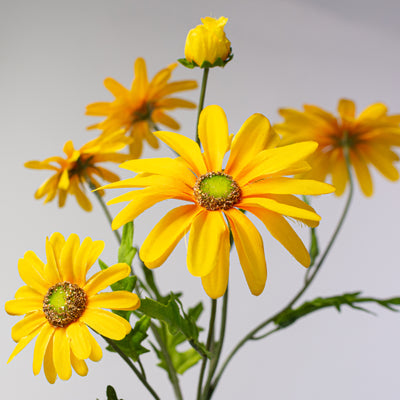 25" Daisy & Buds Spray x5: Yellow