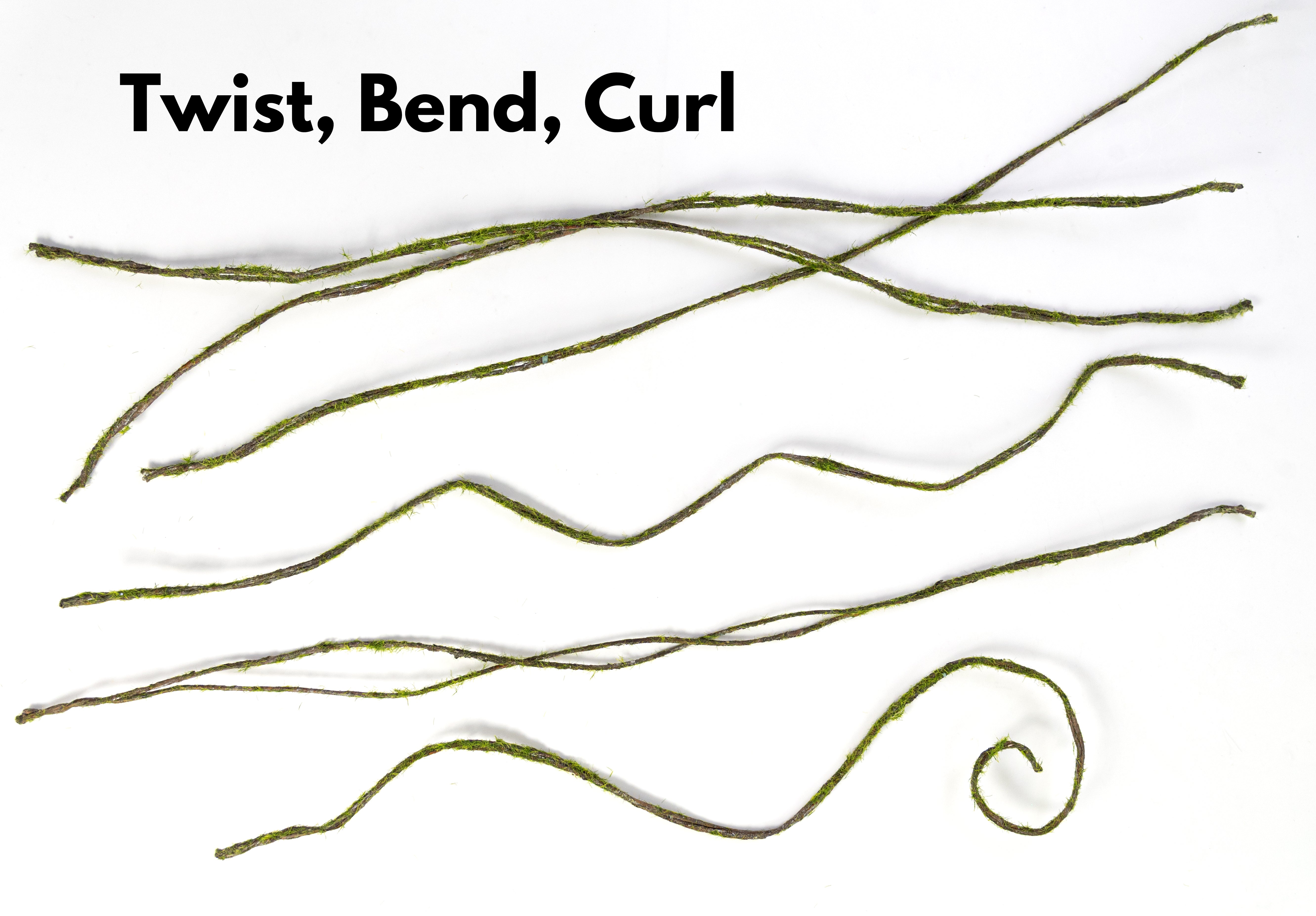 36" Mossy Wired Twig Bundle (6 Stems)