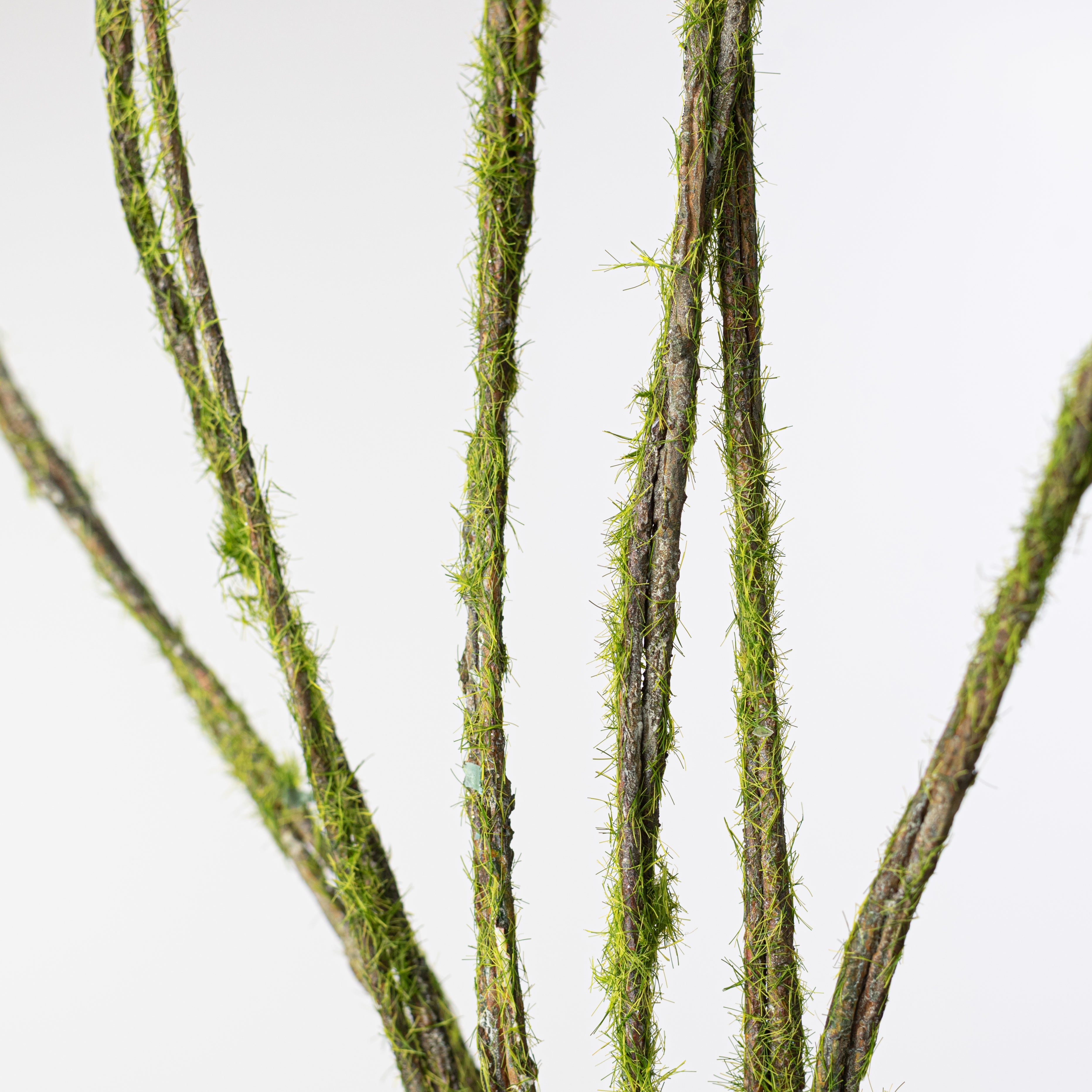 36" Mossy Wired Twig Bundle (6 Stems)