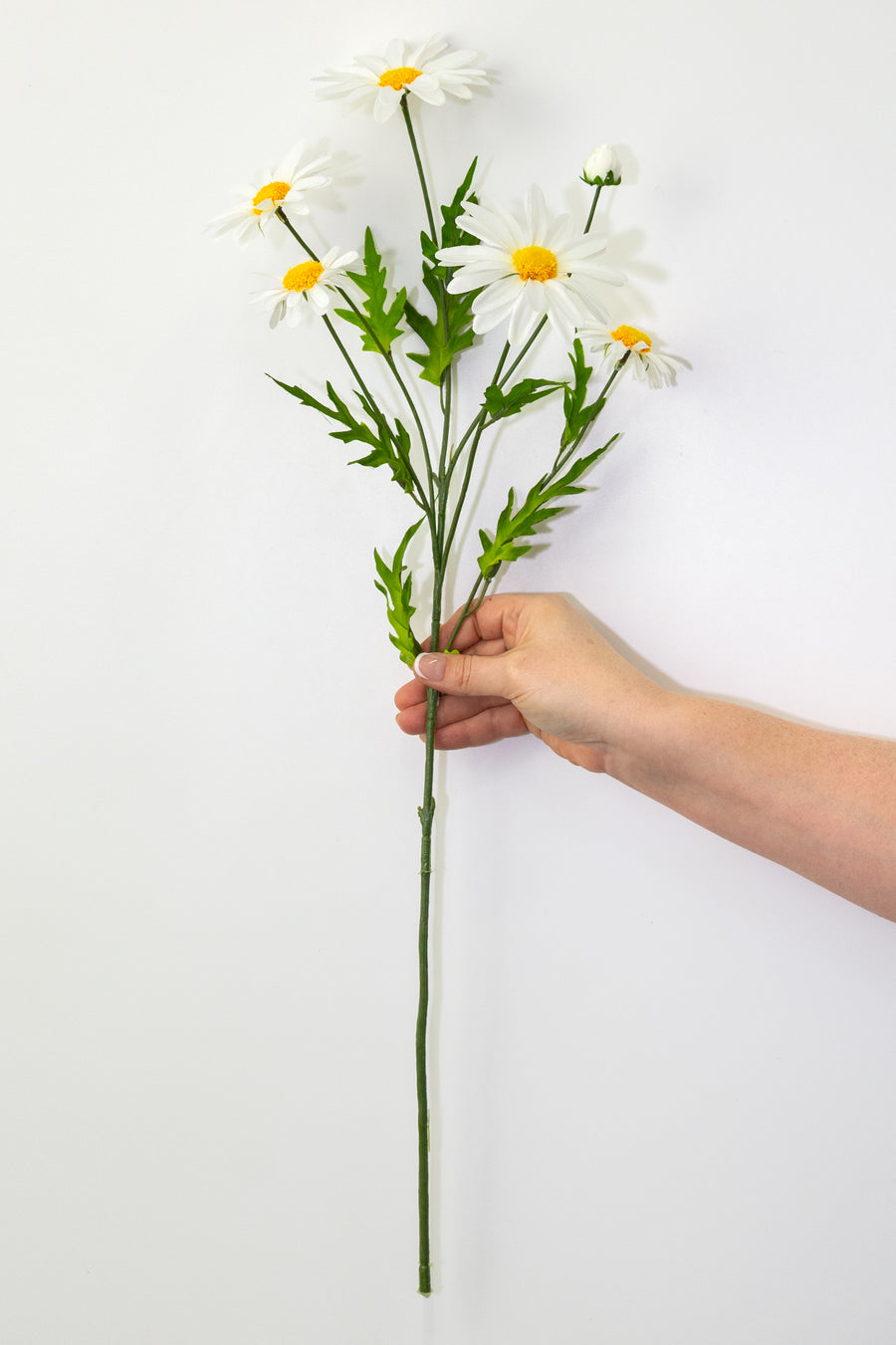 25" Daisy & Buds Spray x5: Cream White