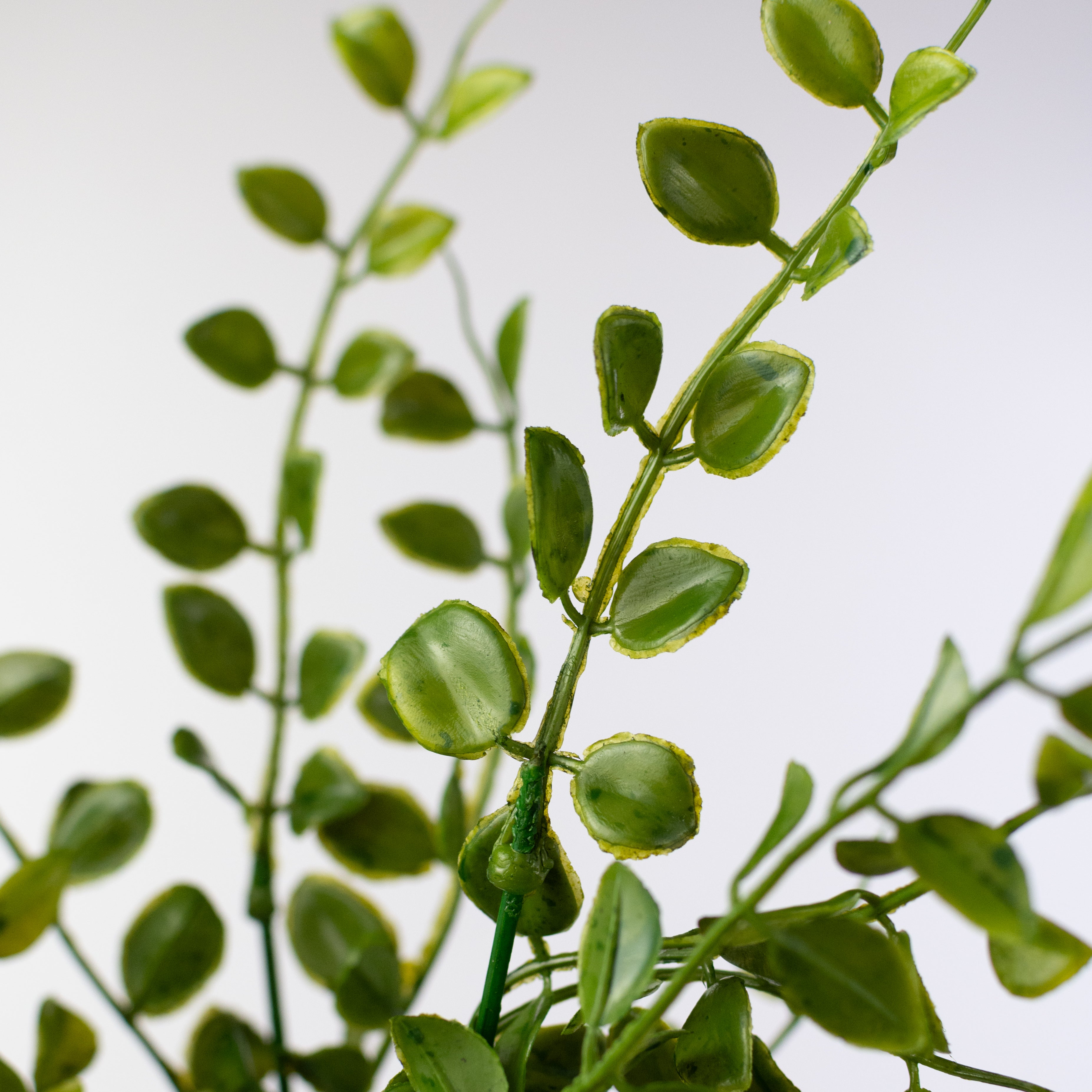 18" Plastic Mock Lime Leaves Bush