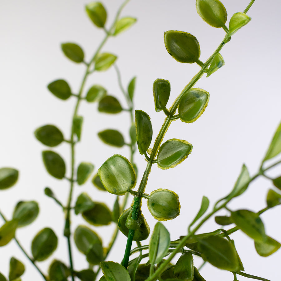 18" Plastic Mock Lime Leaves Bush