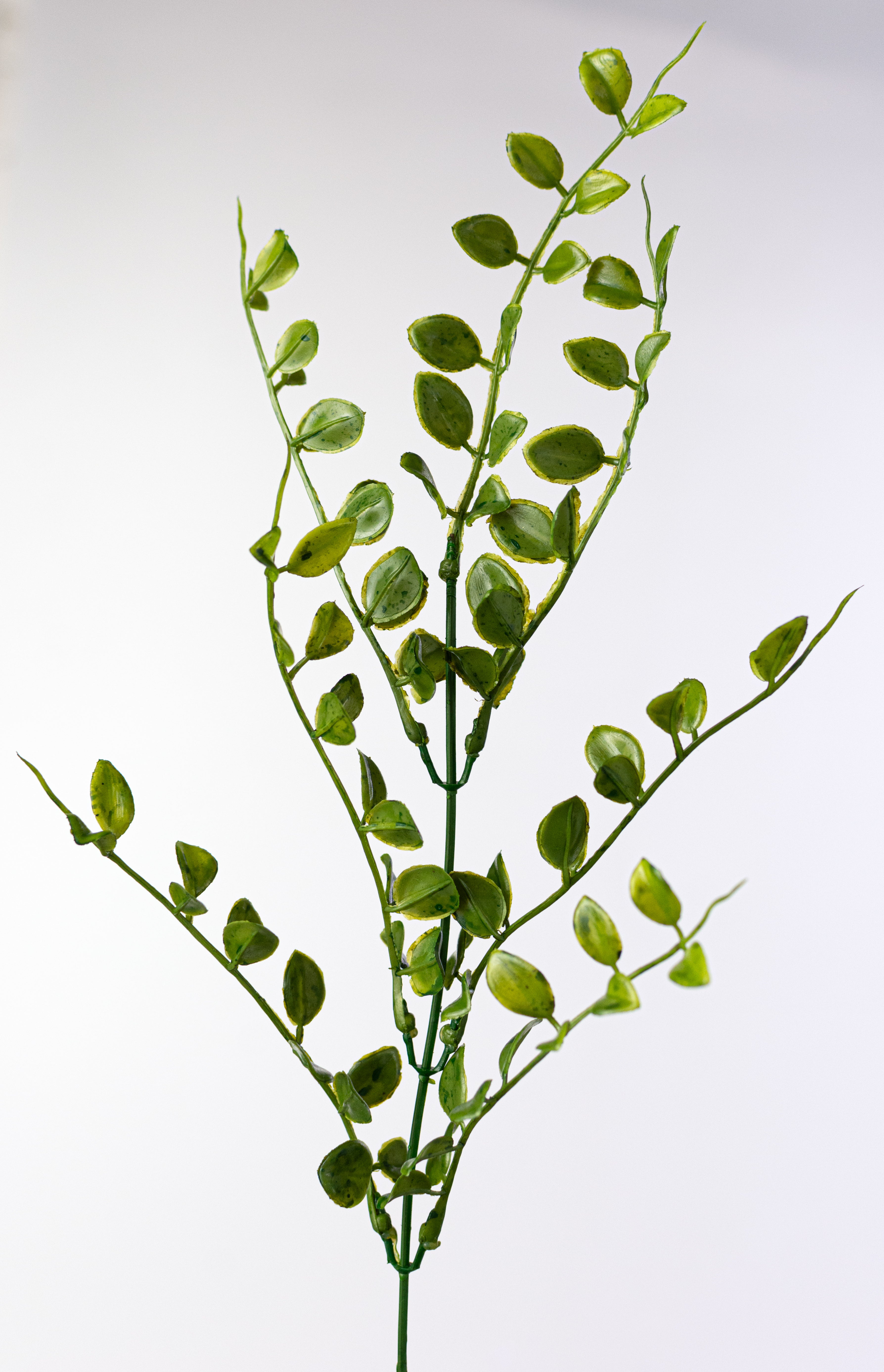 18" Plastic Mock Lime Leaves Bush