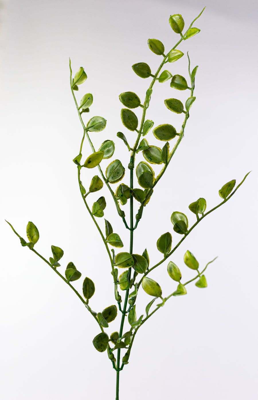 18" Plastic Mock Lime Leaves Bush