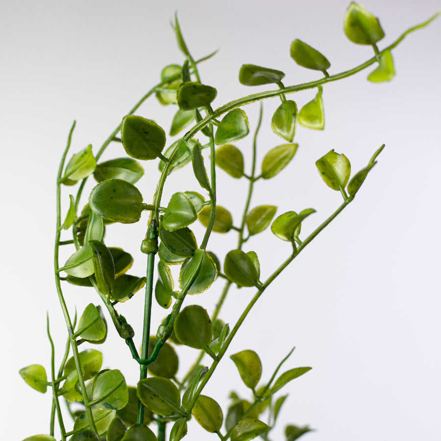 18" Plastic Mock Lime Leaves Bush