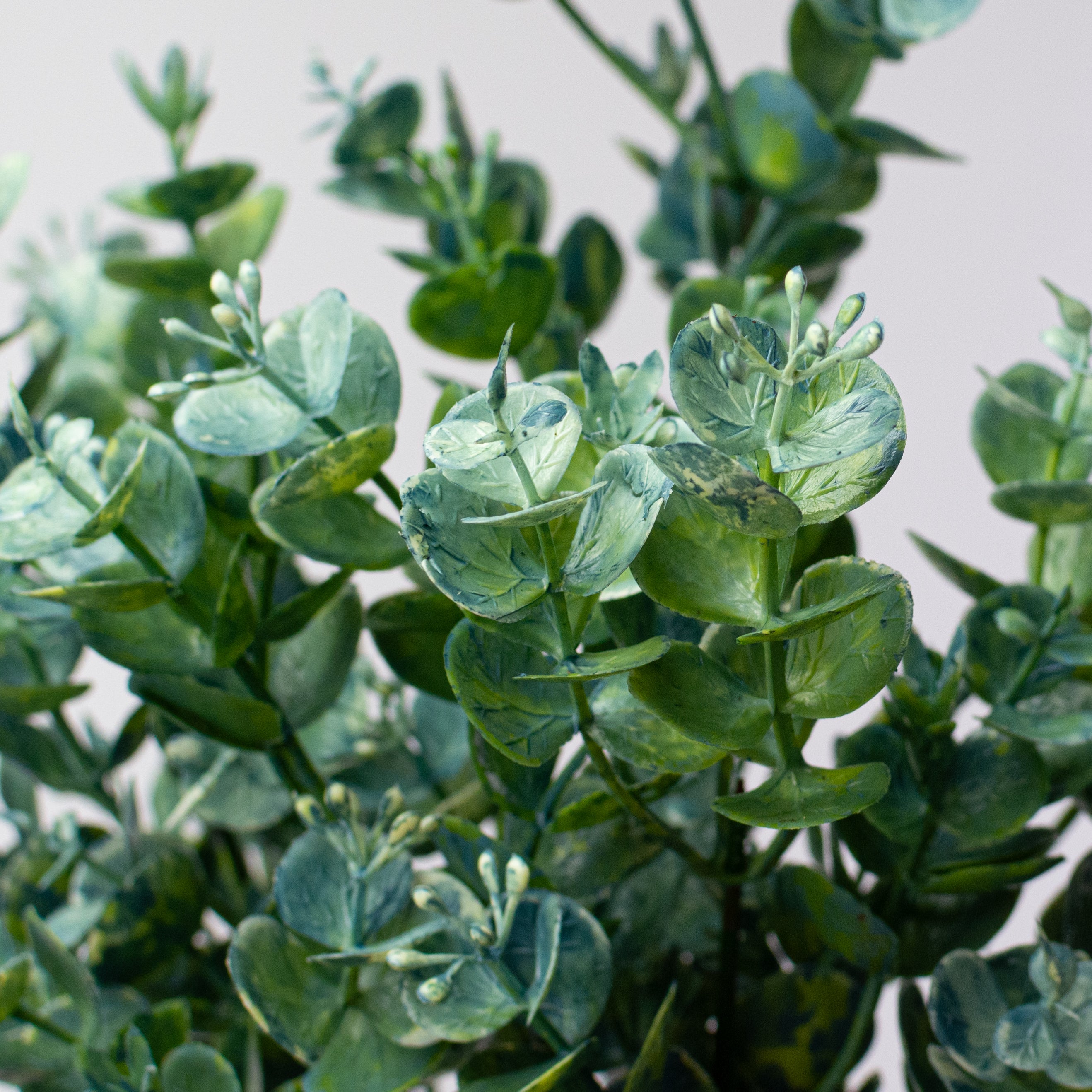 20" Plastic Eucalyptus Bush: Blue Green