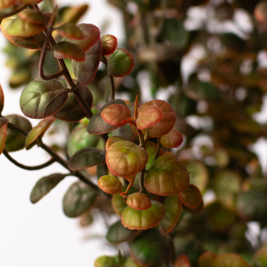 21" Plastic Boxwood Bush: Brown Green