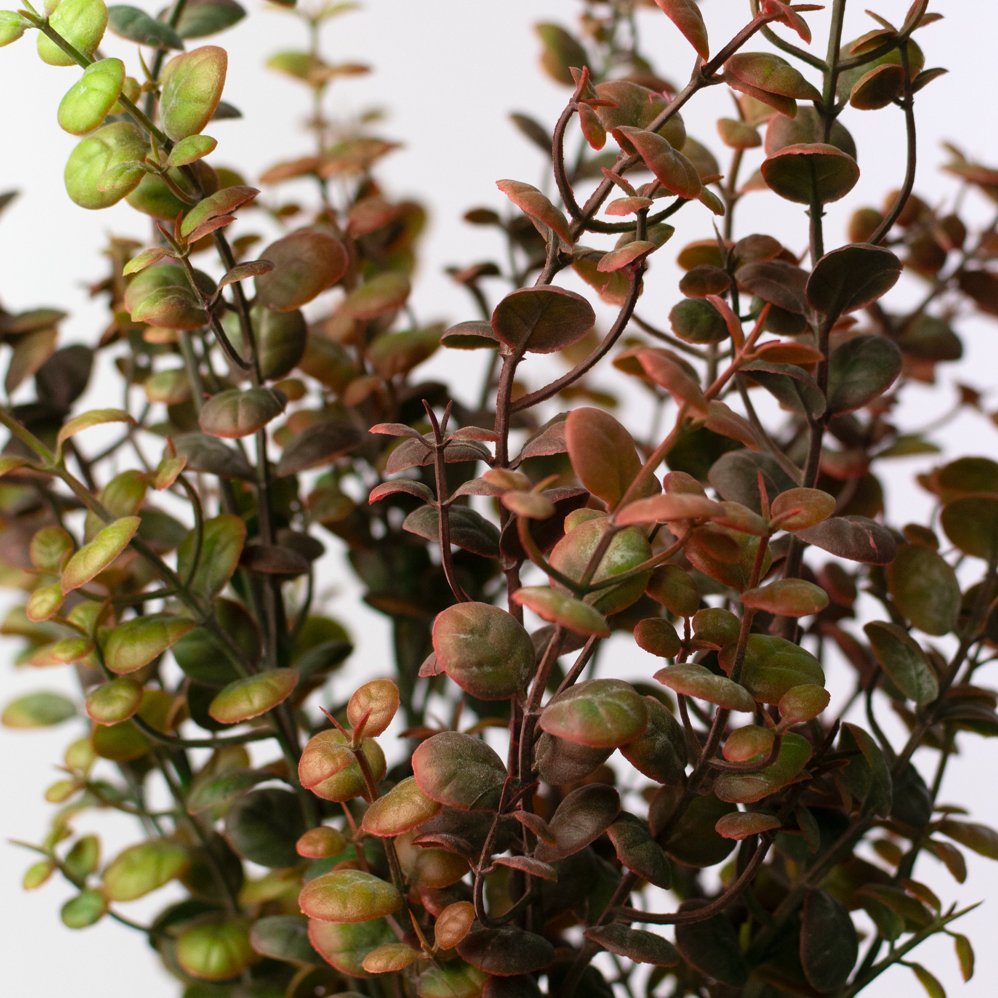 21" Plastic Boxwood Bush: Brown Green