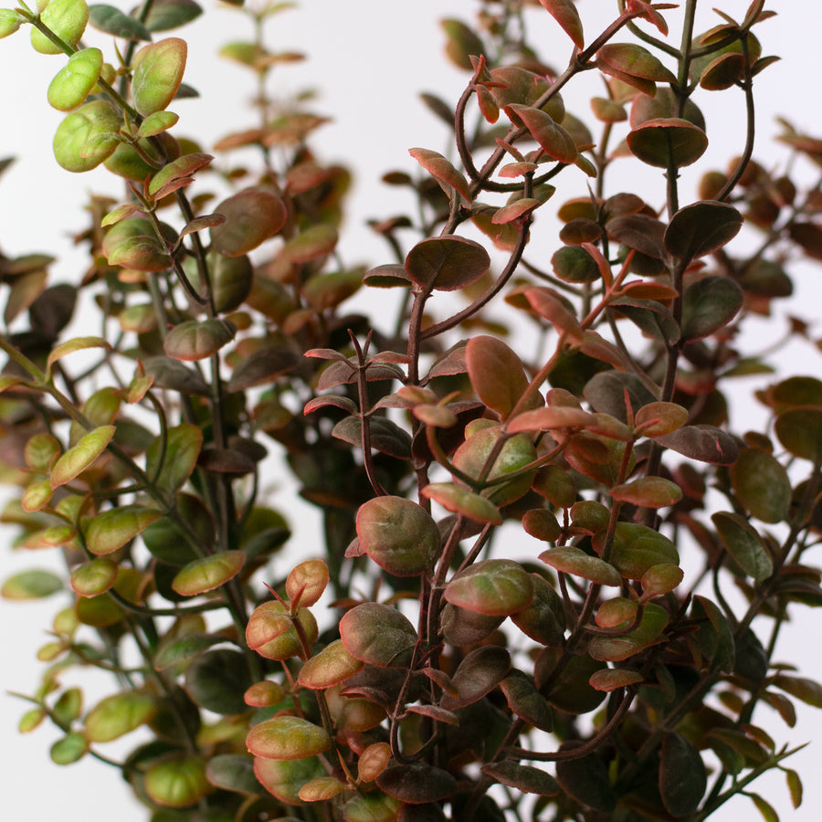 21" Plastic Boxwood Bush: Brown Green