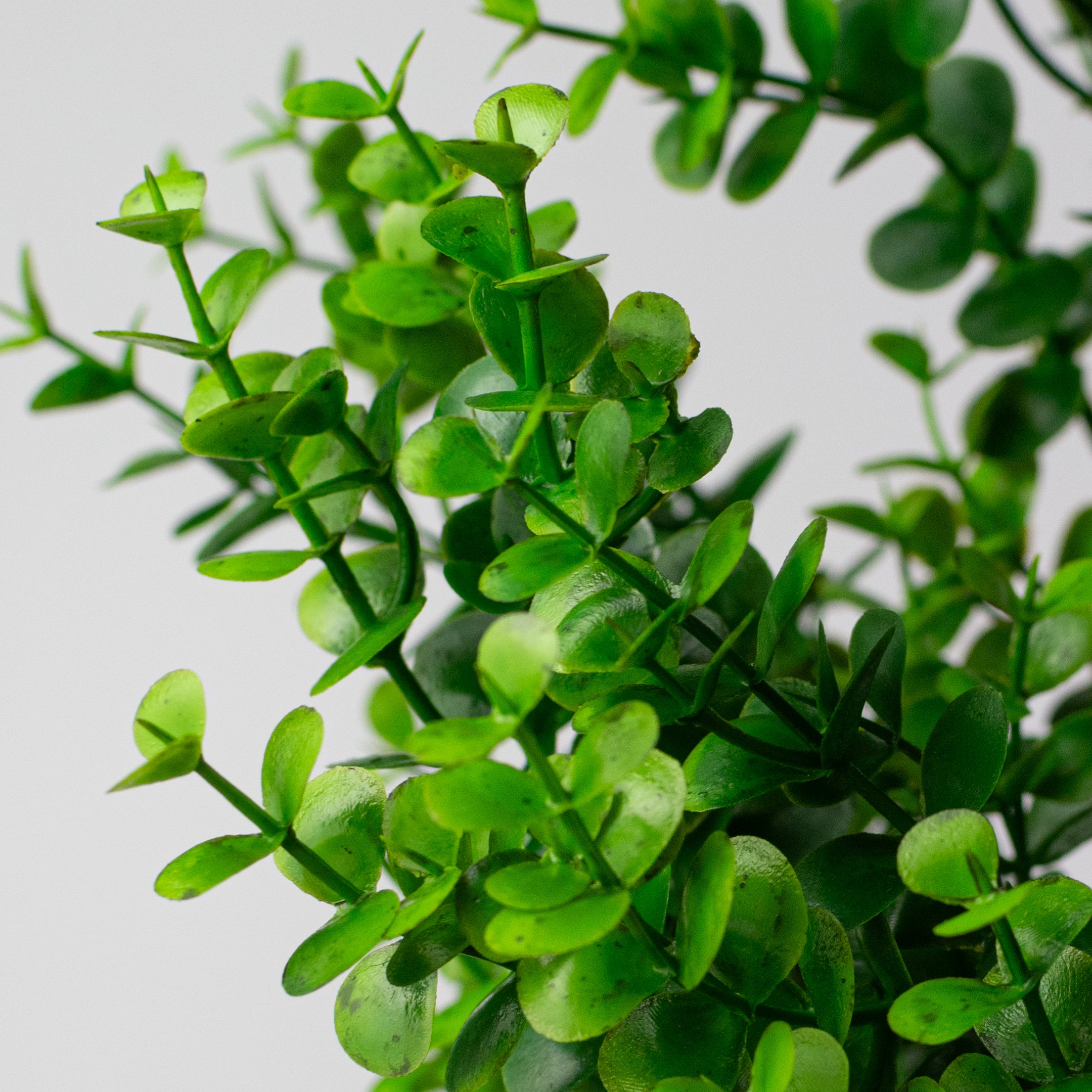 21" Plastic Eucalyptus Bush: Green