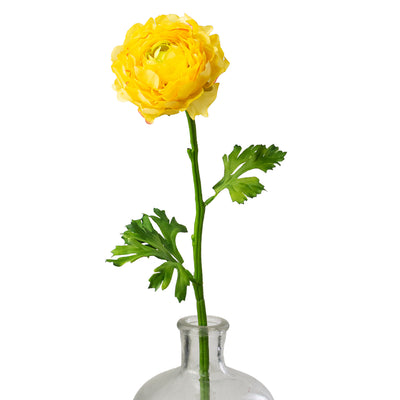 20" Ranunculus Stem: Yellow