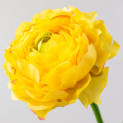 20" Ranunculus Stem: Yellow