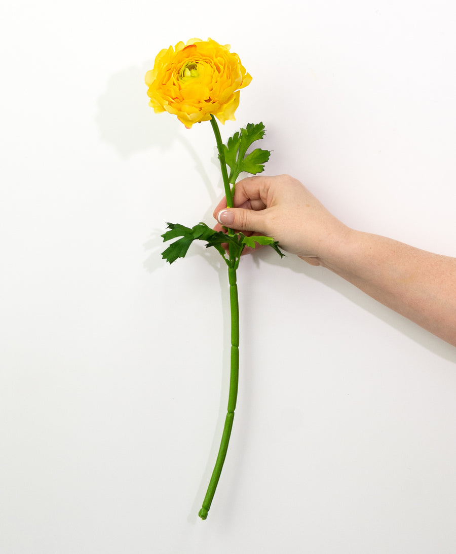 20" Ranunculus Stem: Yellow