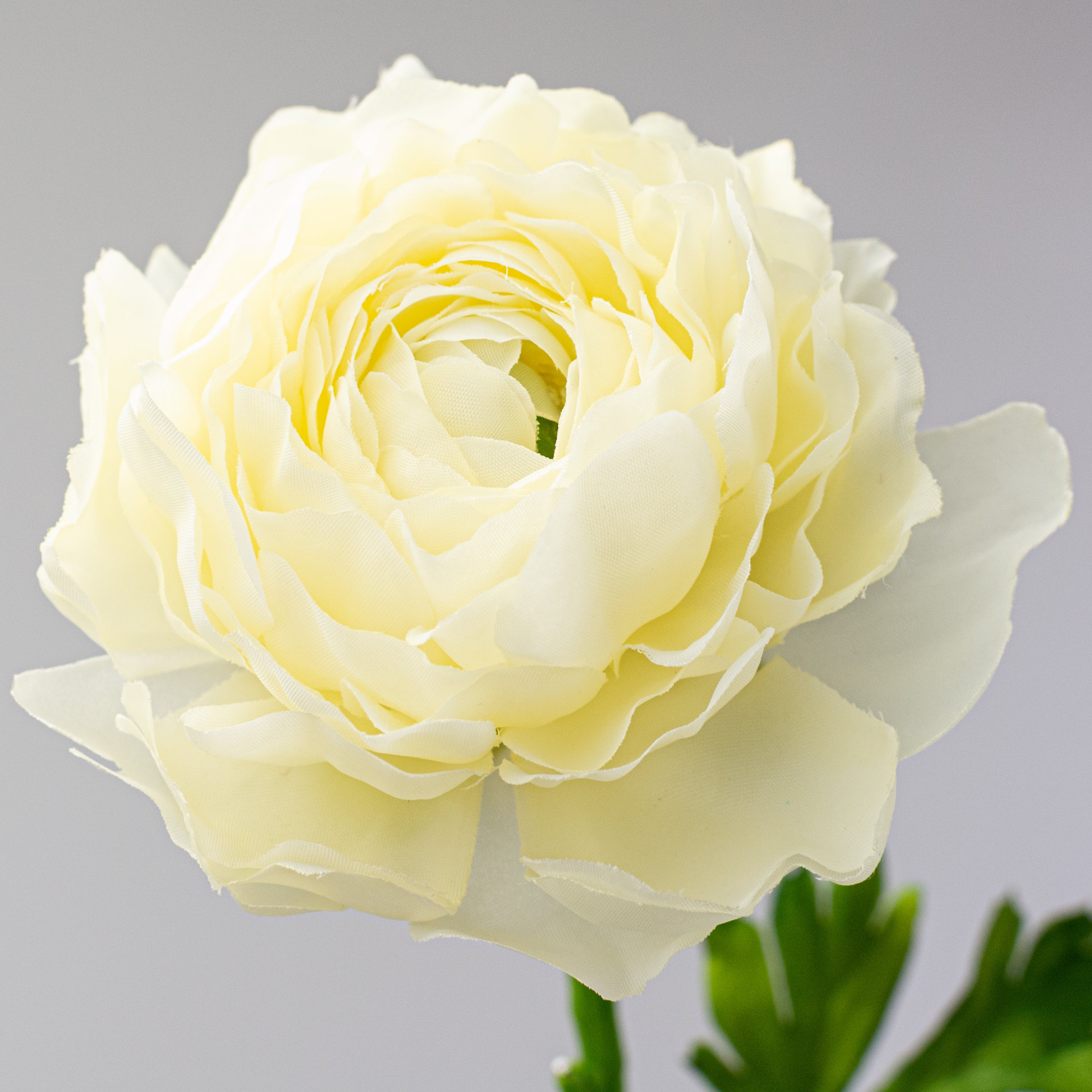 20" Ranunculus Stem: Cream