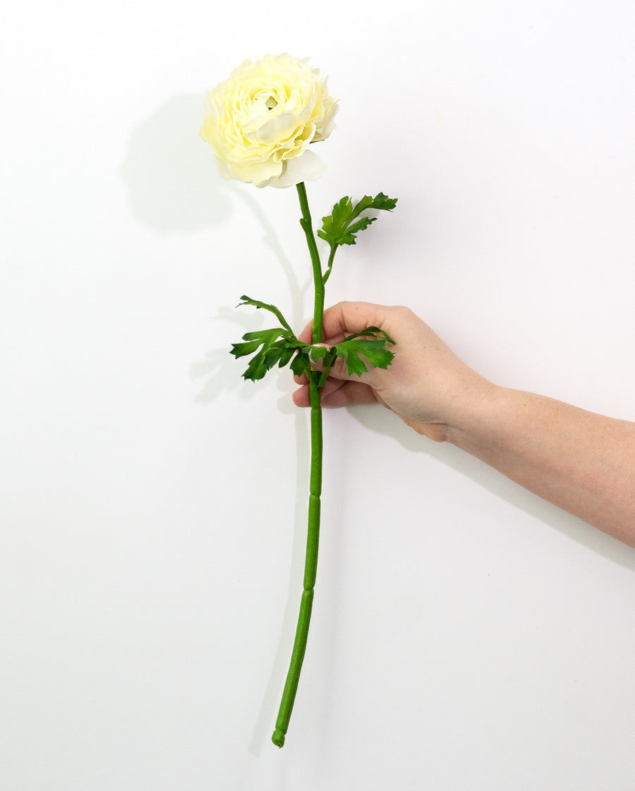 20" Ranunculus Stem: Cream