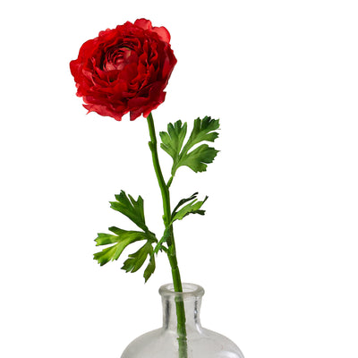 20" Ranunculus Stem: Red