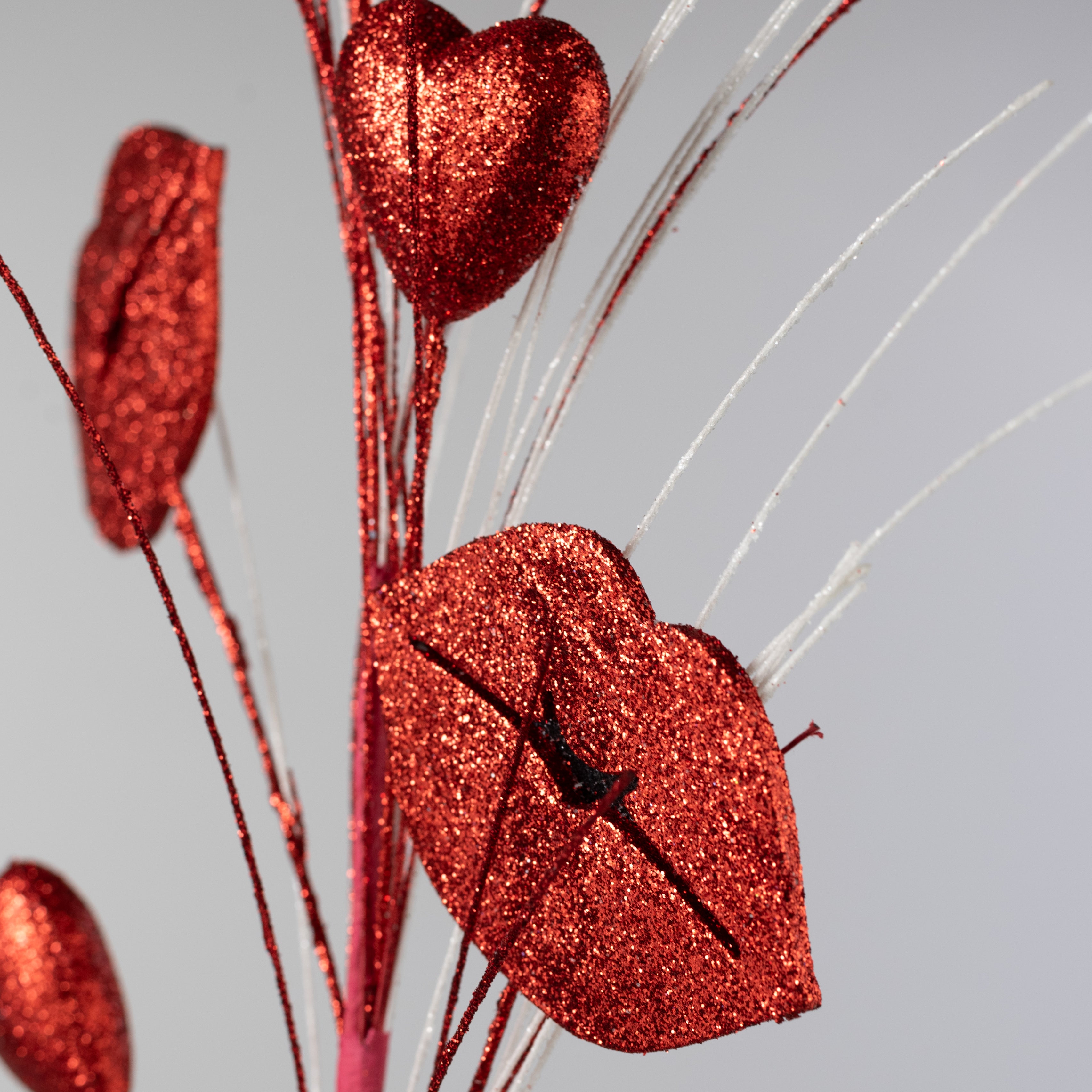 30" Glittered Lips & Hearts Fishline Spray: Red