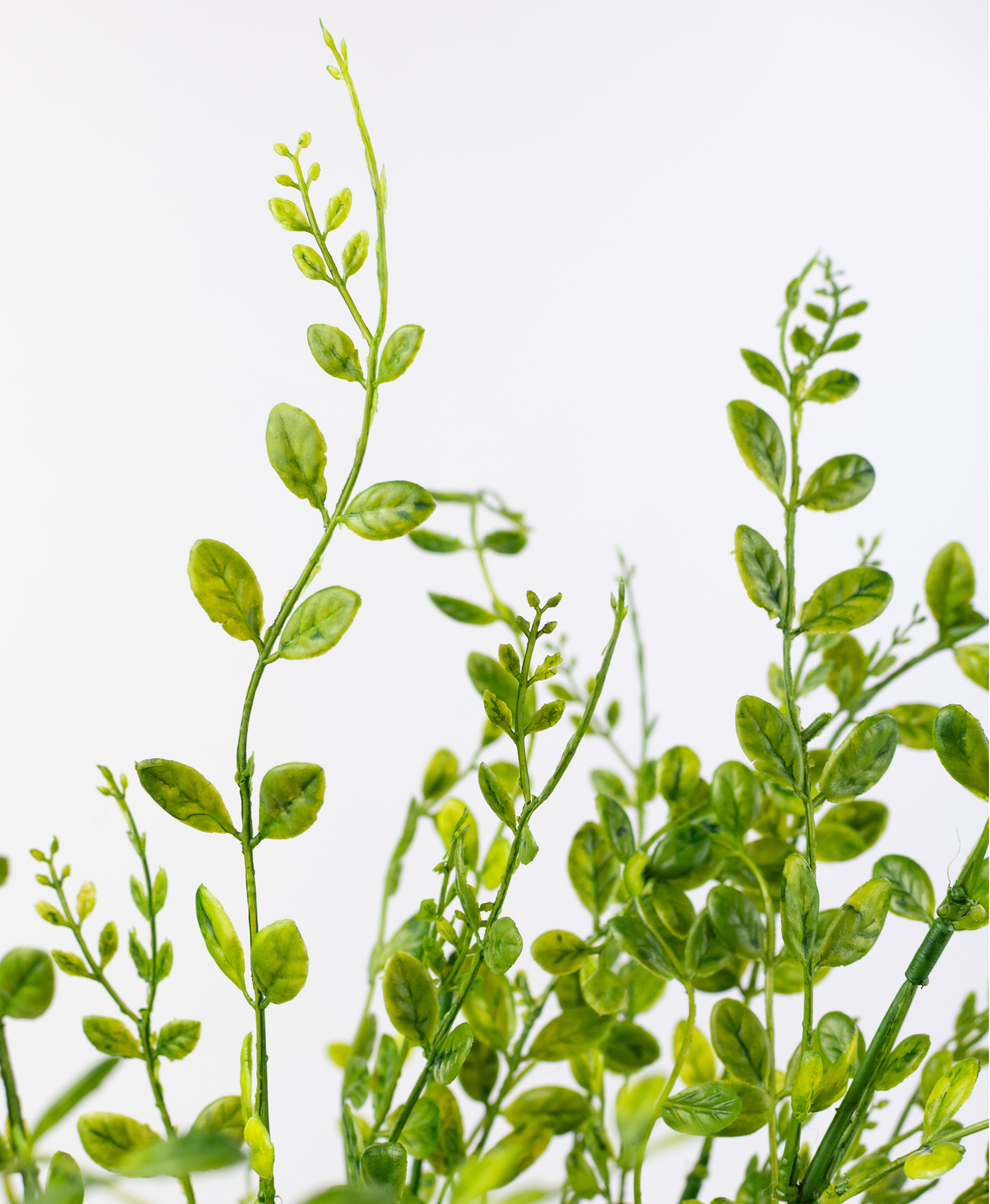 22" Plastic Boxwood Bush: Green