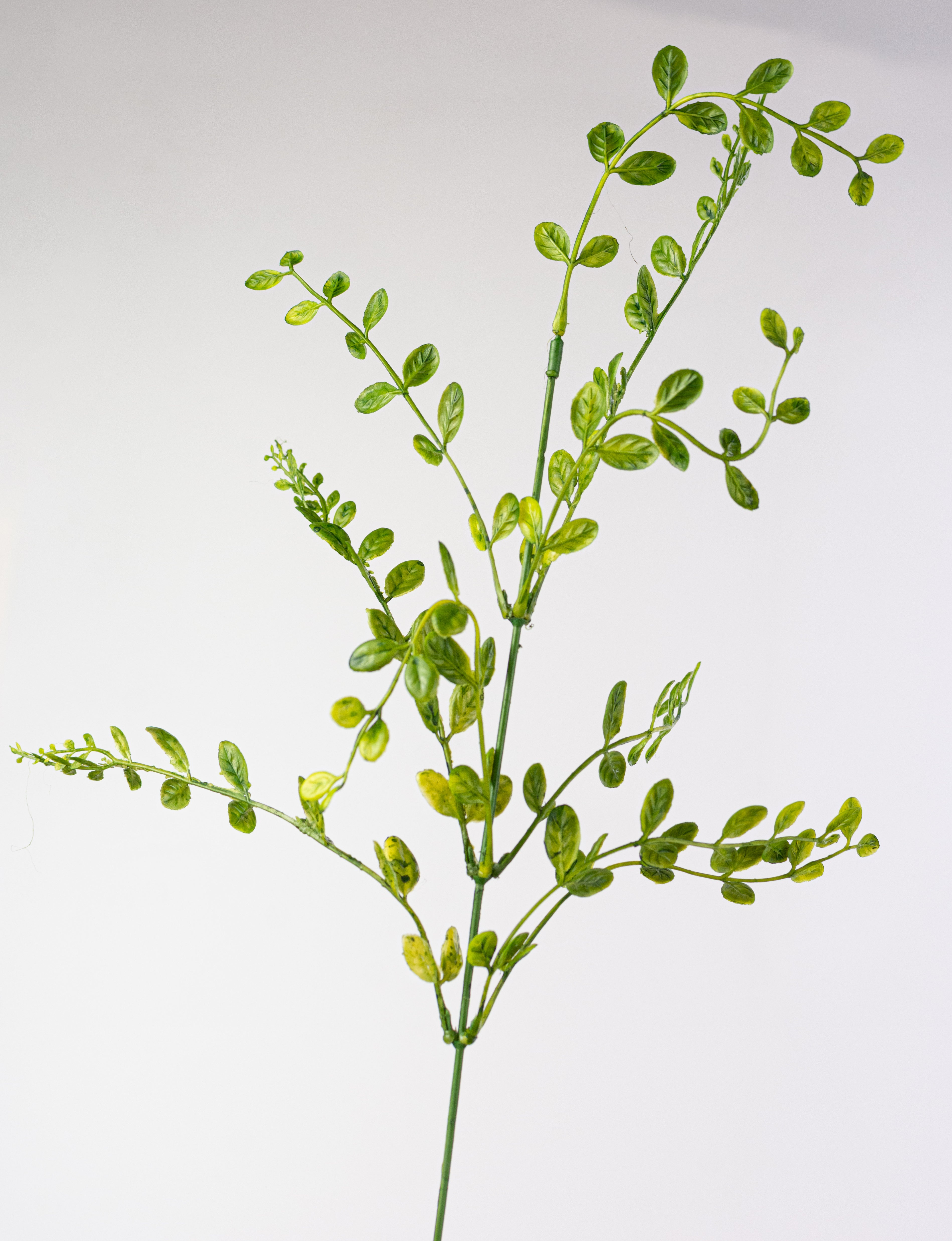 22" Plastic Boxwood Bush: Green