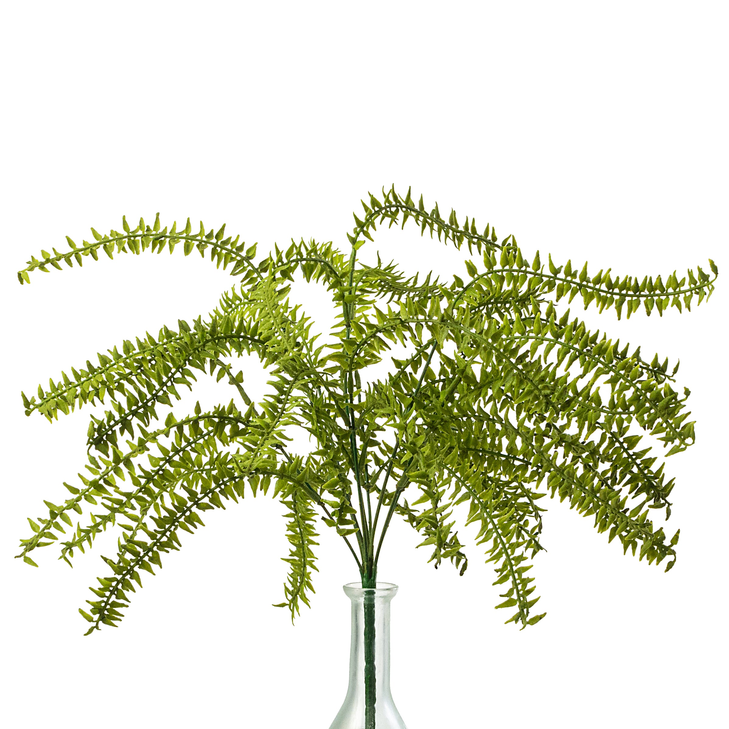 21" Plastic Flocked Boston Fern Bush