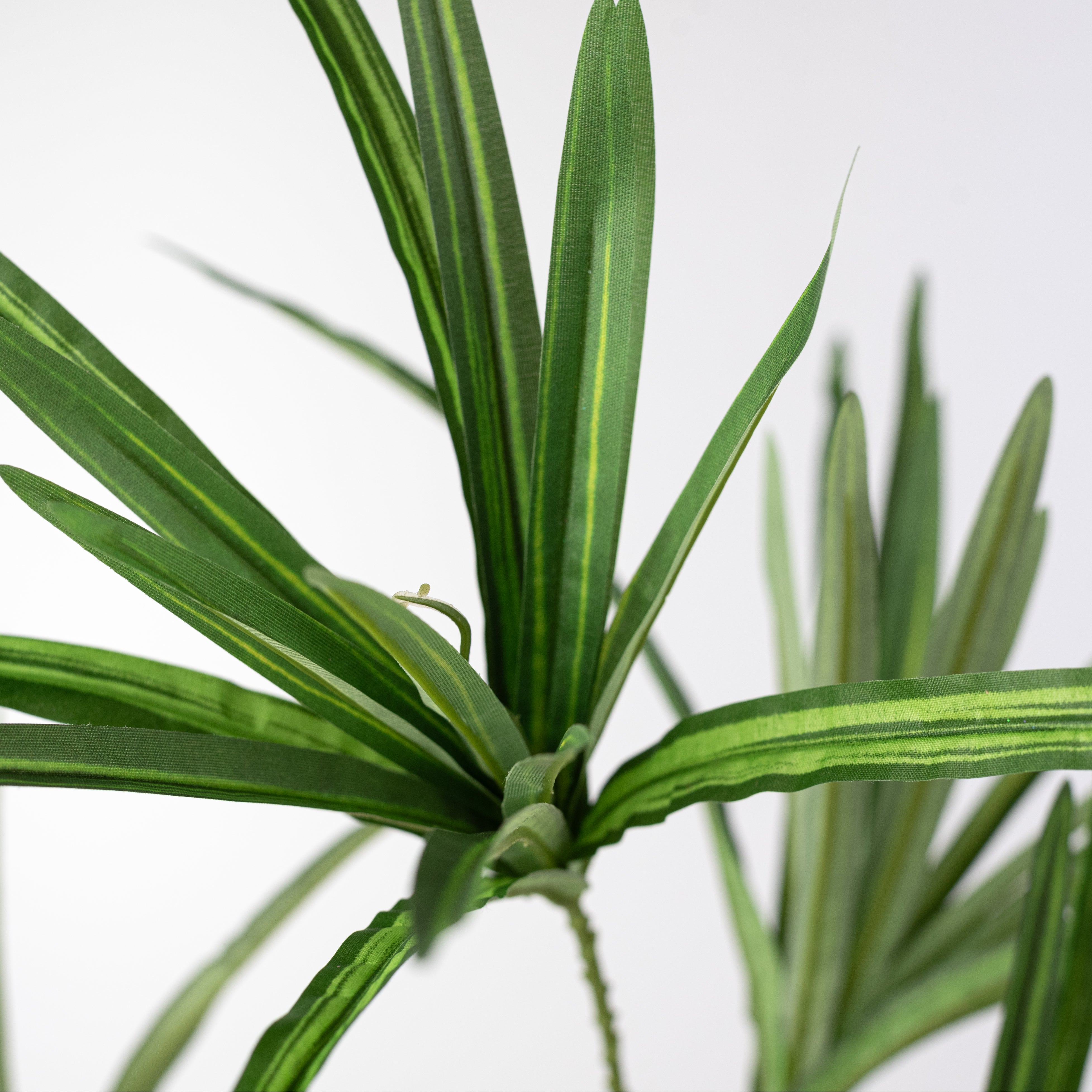 32" Orchid Grass Spray: Green