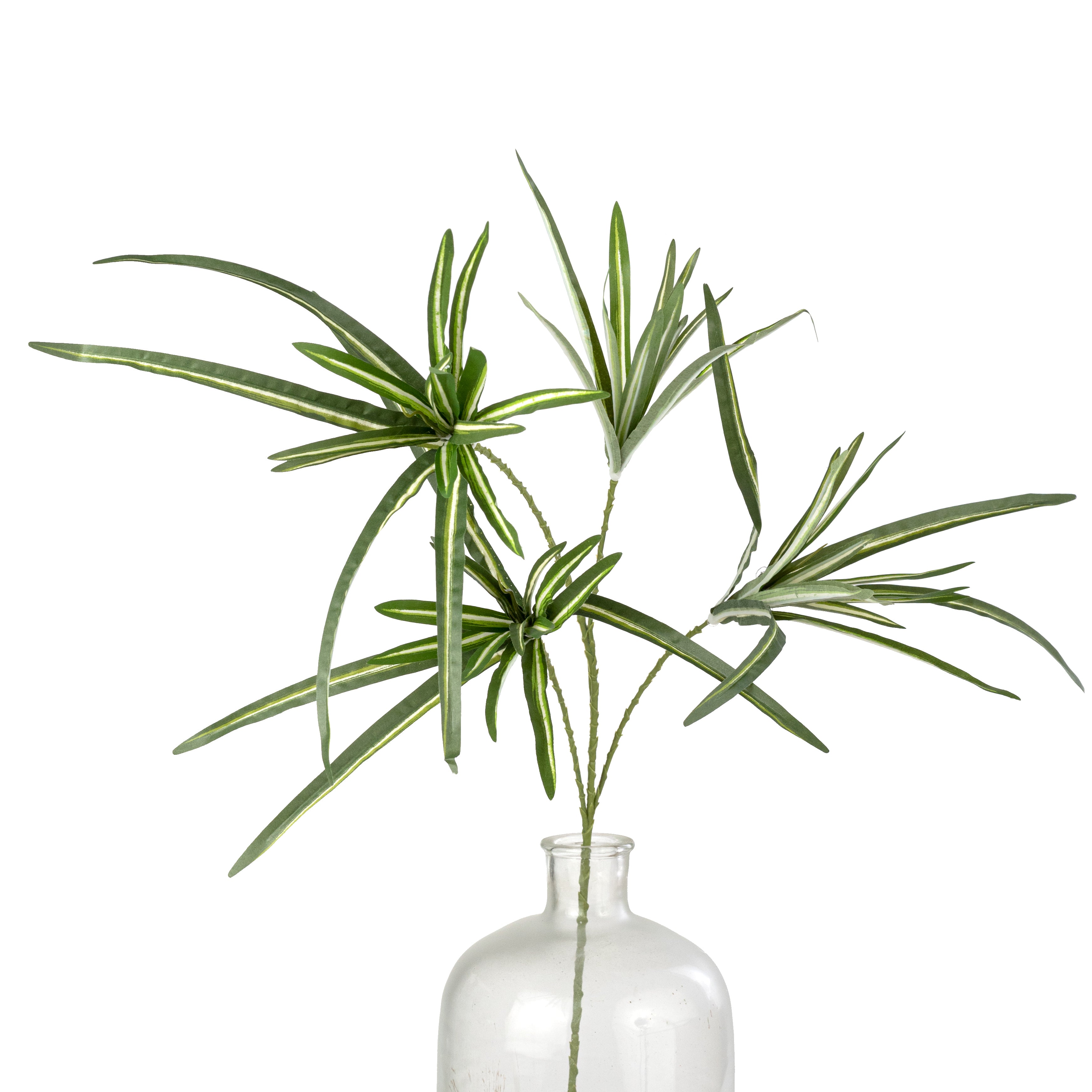 32" Orchid Grass Spray: Variegated Green