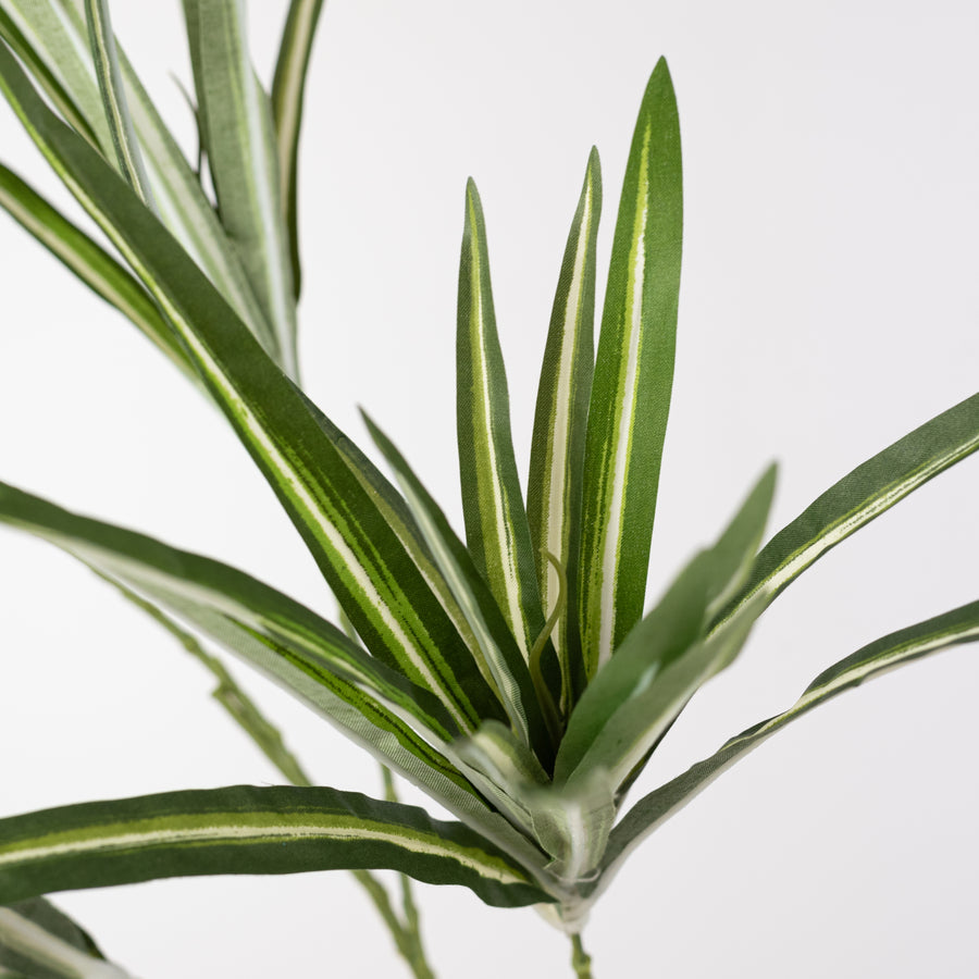 32" Orchid Grass Spray: Variegated Green