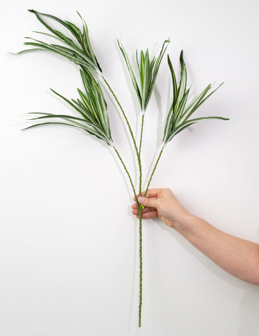 32" Orchid Grass Spray: Variegated Green