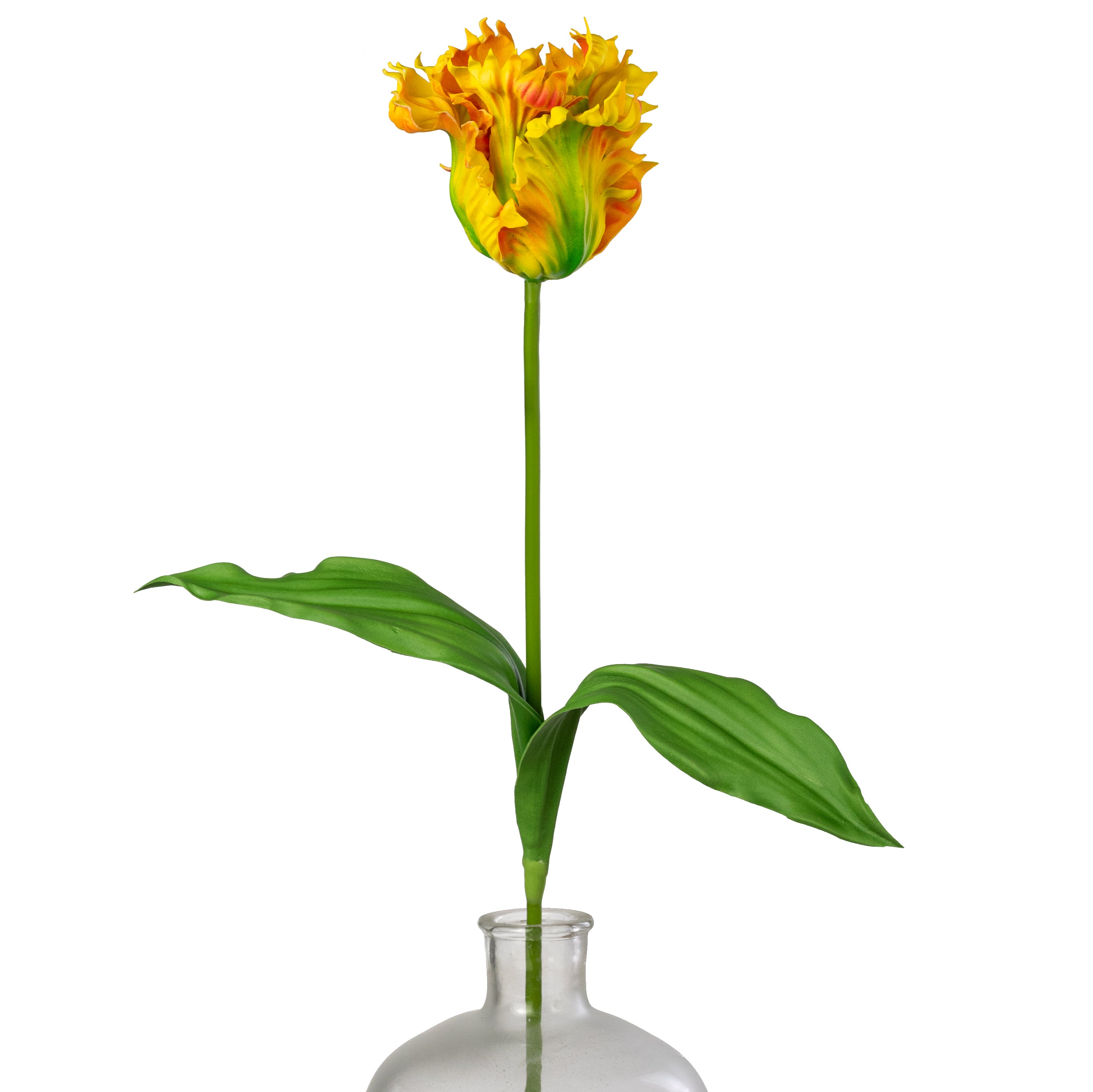 31" Parrot Tulip Stem: Yellow Red