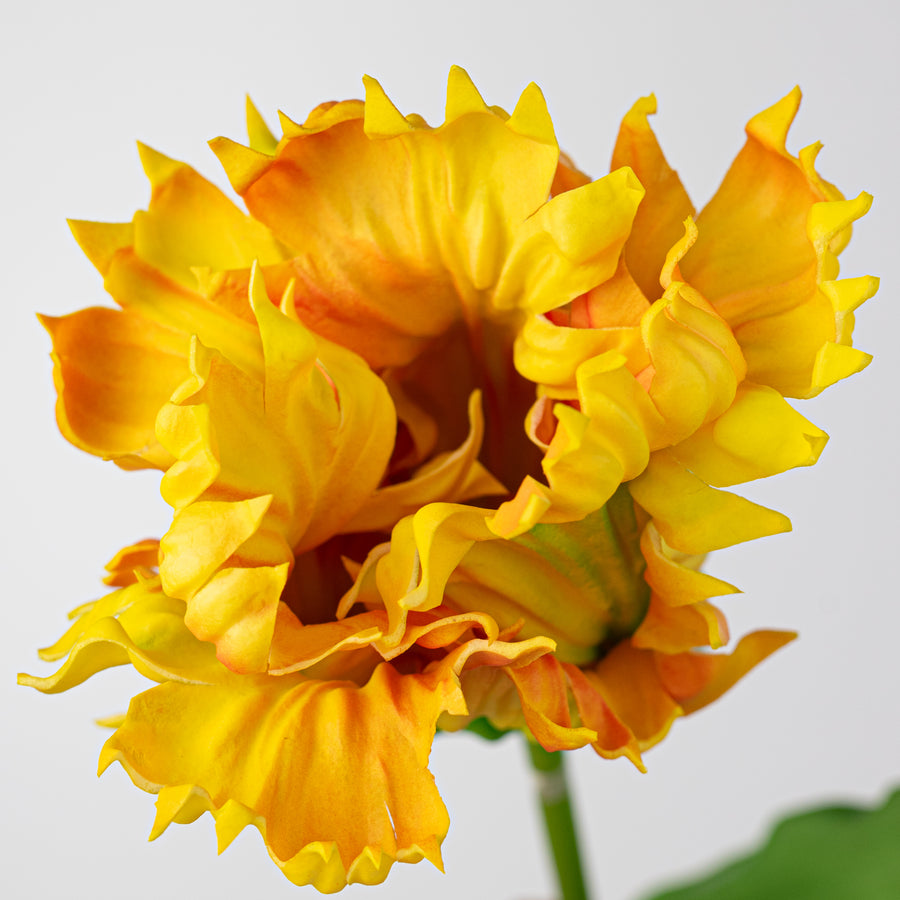 31" Parrot Tulip Stem: Yellow Red
