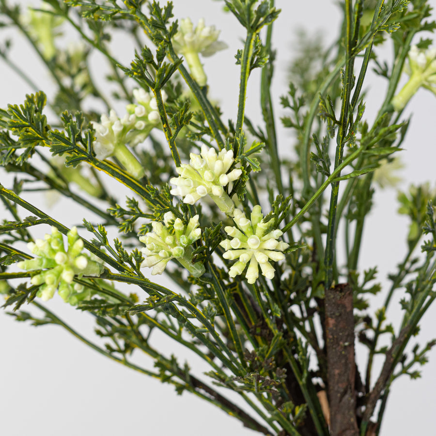 20'' Kalanchoe Blooms Bundle: White (3)