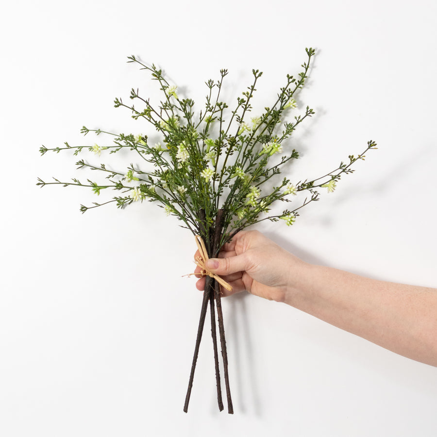20'' Kalanchoe Blooms Bundle: White (3)