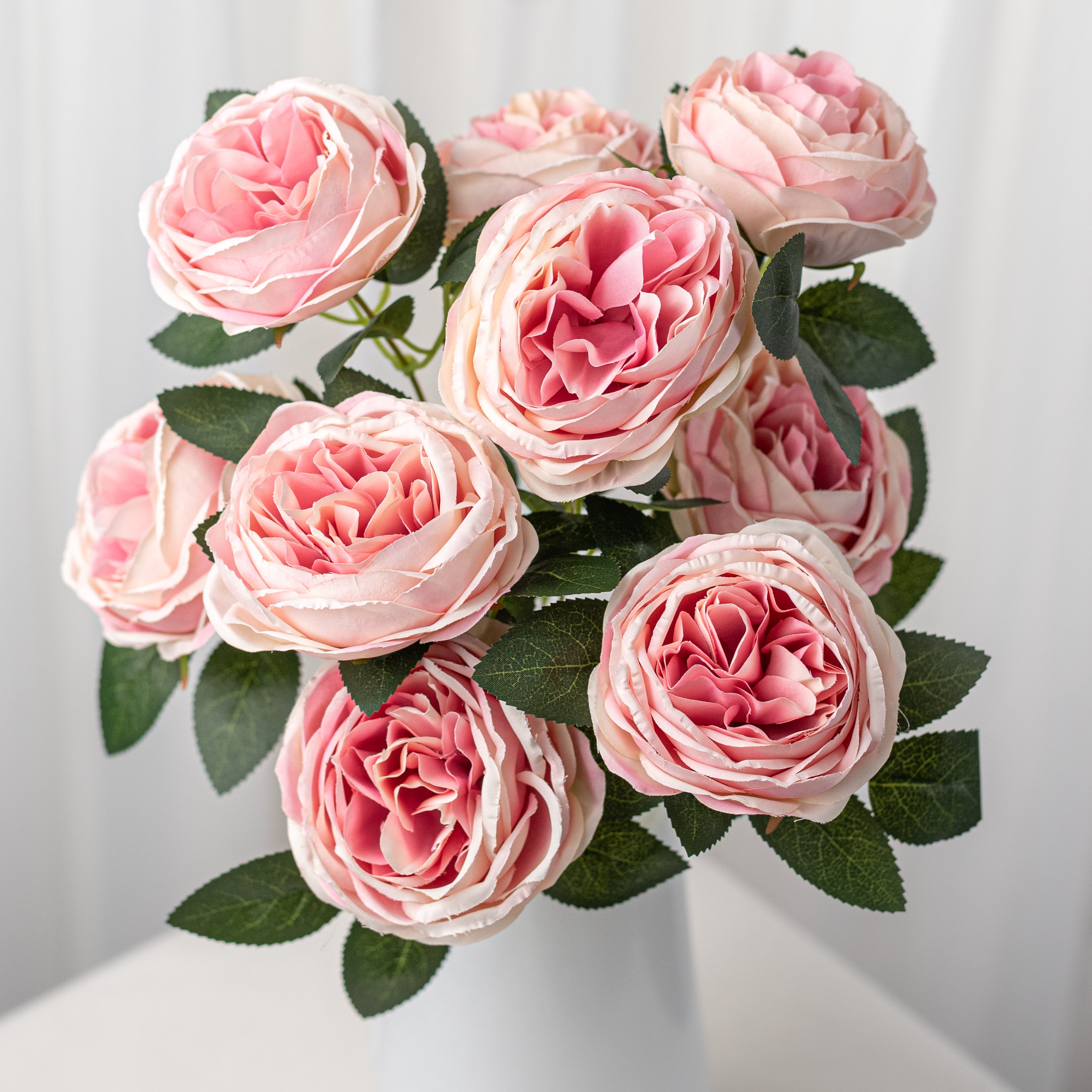 17" Cabbage Rose Bush: Mauve Pink (9)