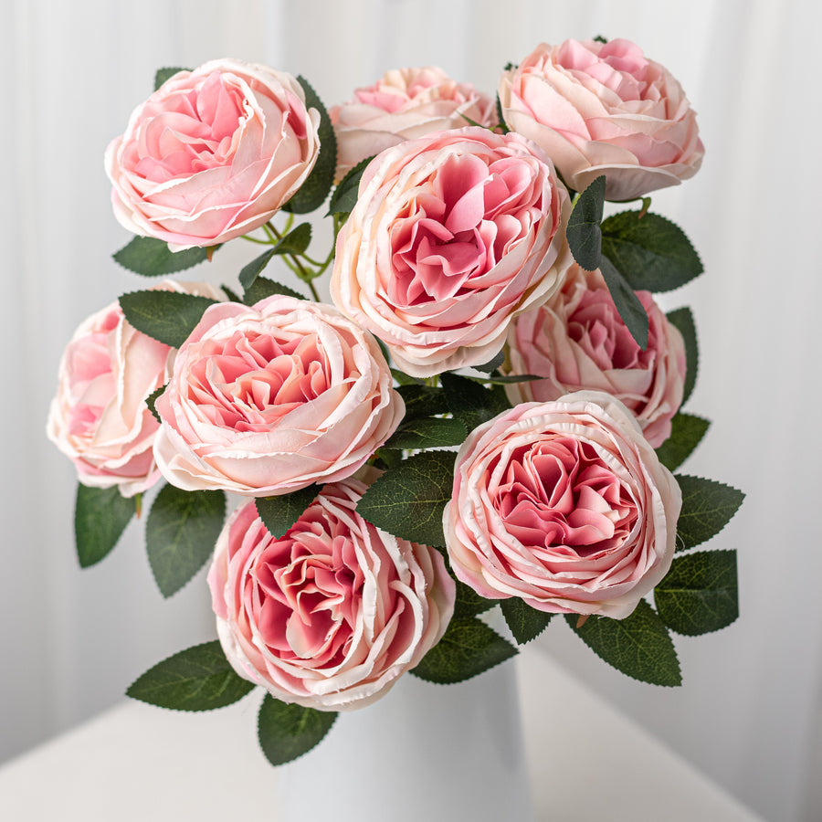 17" Cabbage Rose Bush: Mauve Pink (9)