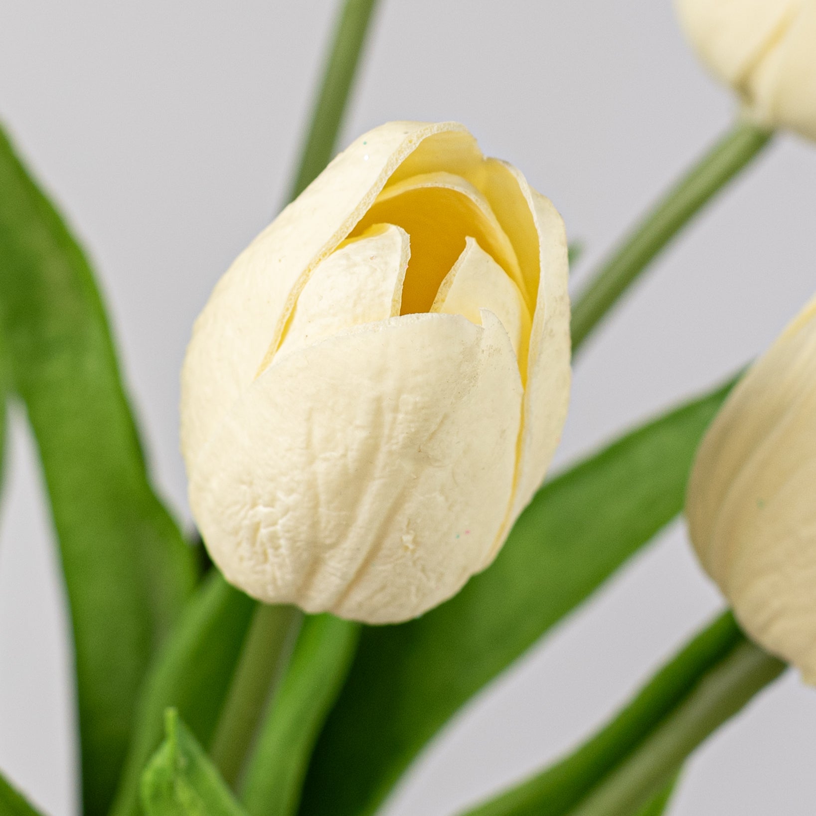 13" Large Soft Touch Tulip Bud Bundle: Cream (6)
