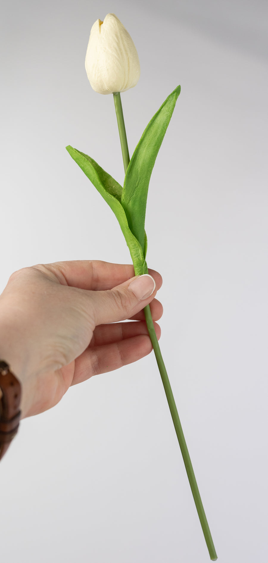13" Large Soft Touch Tulip Bud Bundle: Cream (6)