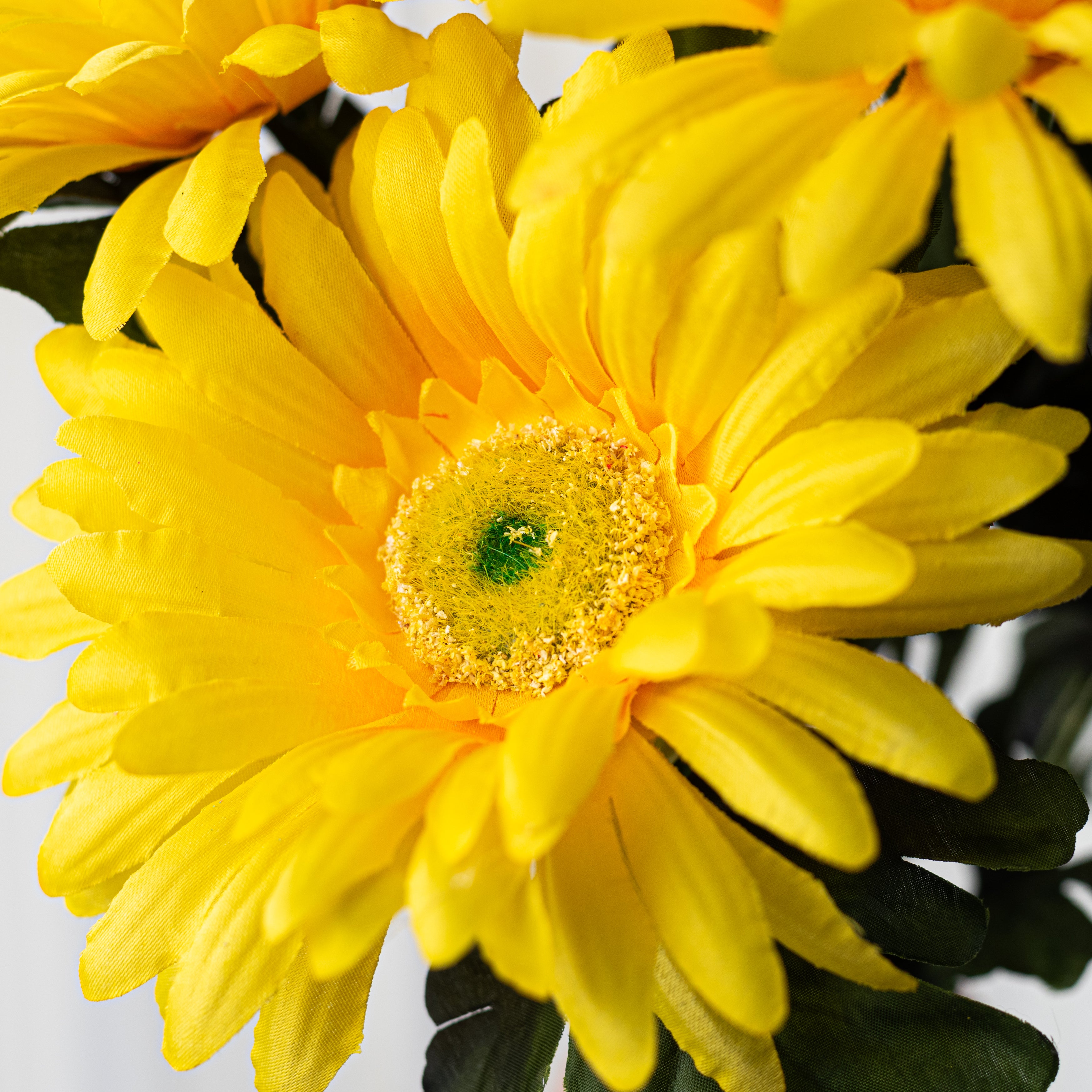 20" Satin Gerber Daisy Bush: Yellow (7)