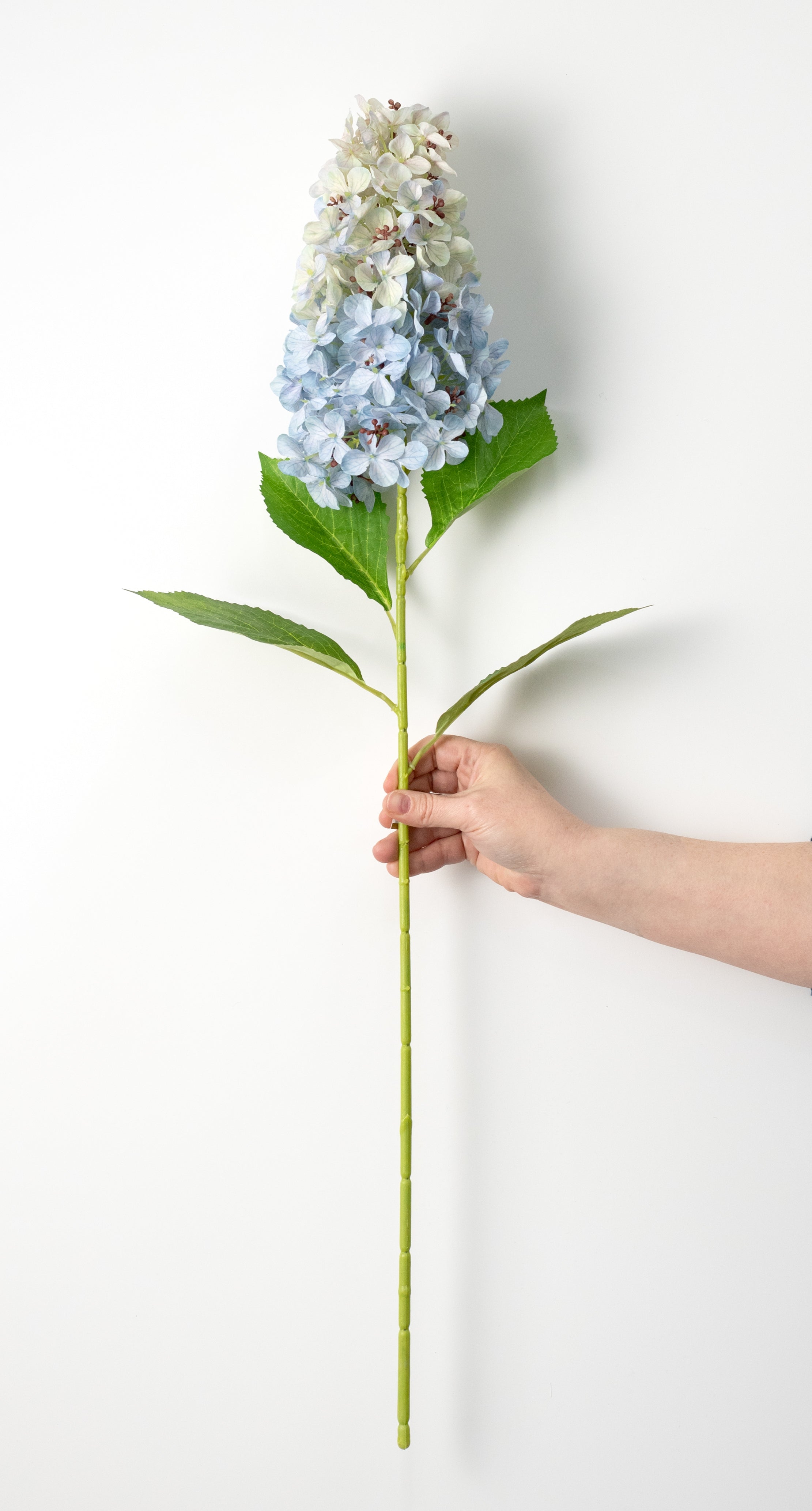 32" Cone Hydrangea Stem: Light Blue