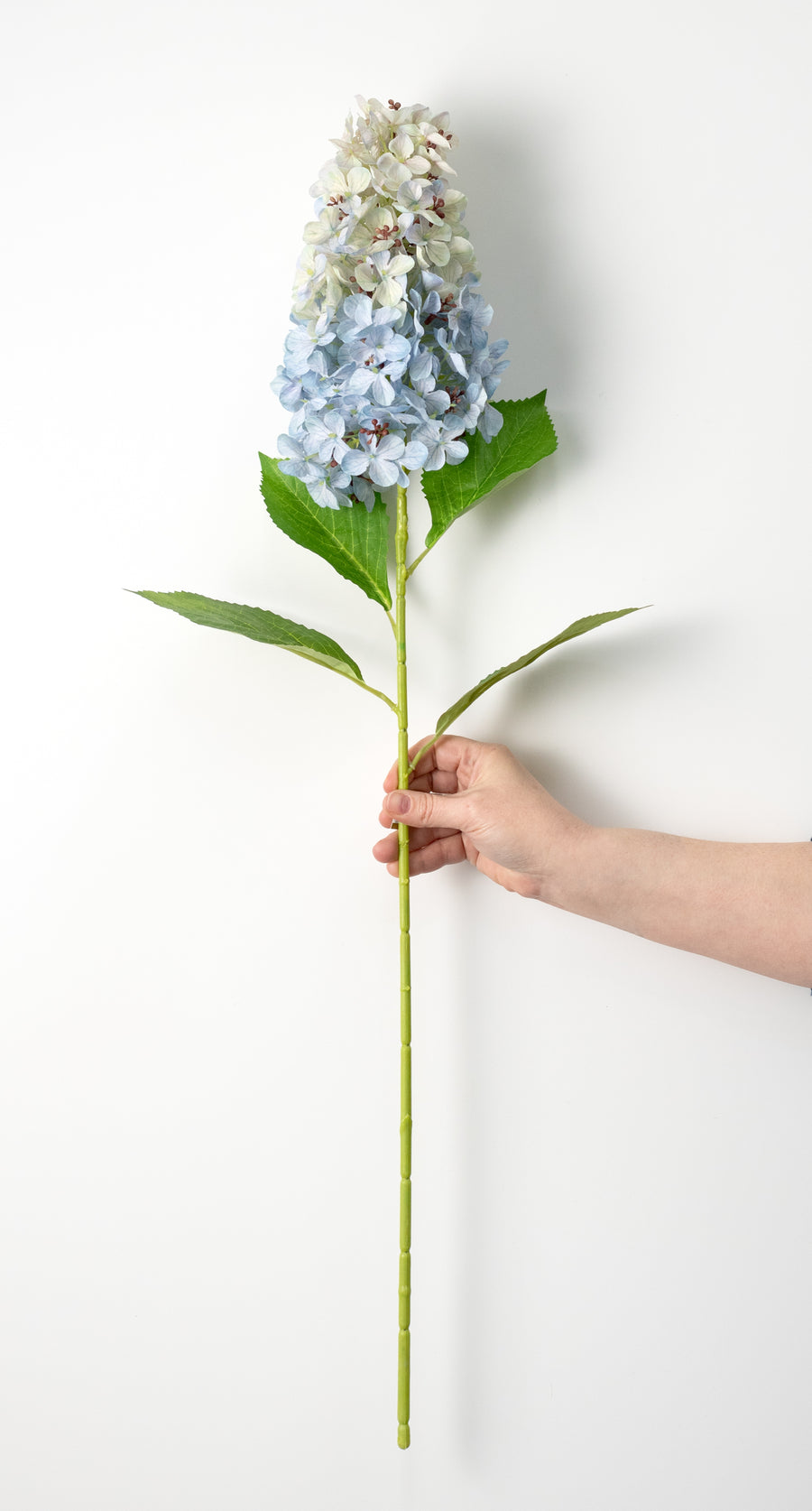 32" Cone Hydrangea Stem: Light Blue