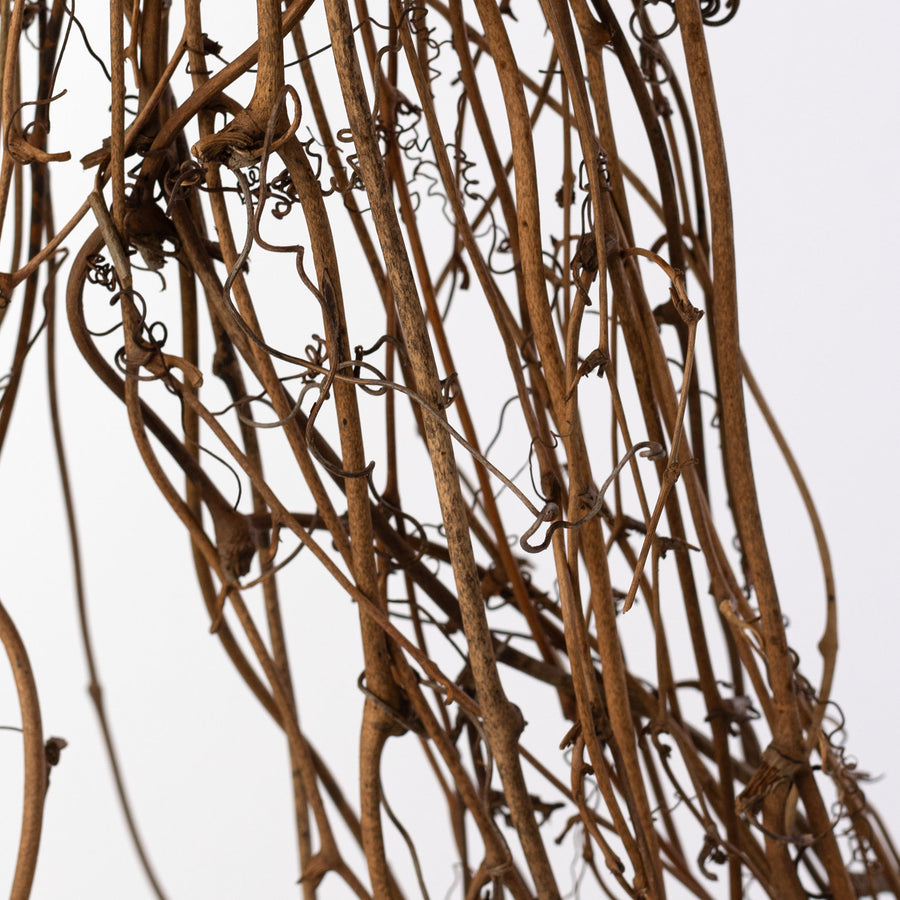 28" Angel Vine Twig Loop