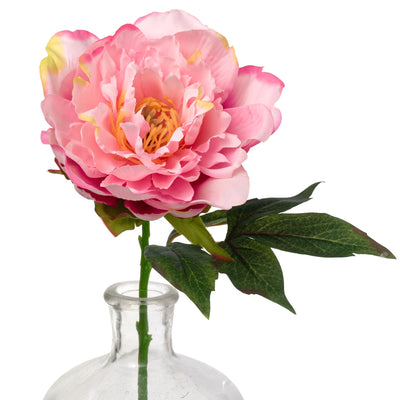 13" Short Stem Peony: Pink