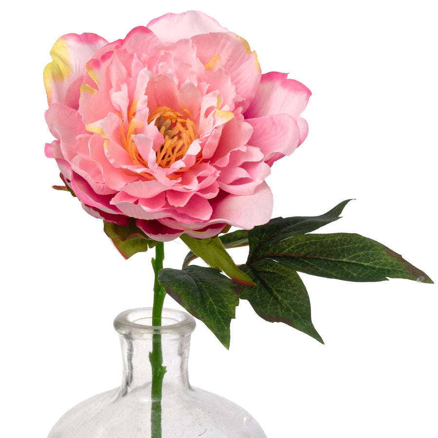 13" Short Stem Peony: Pink