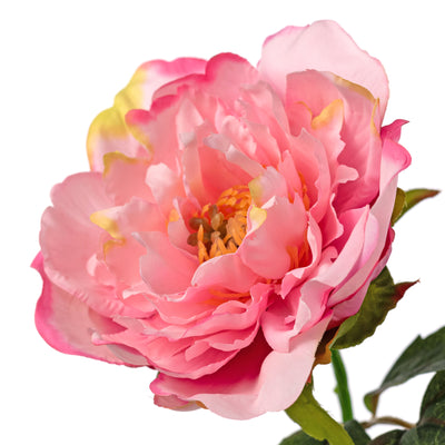 13" Short Stem Peony: Pink