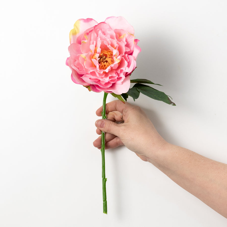 13" Short Stem Peony: Pink