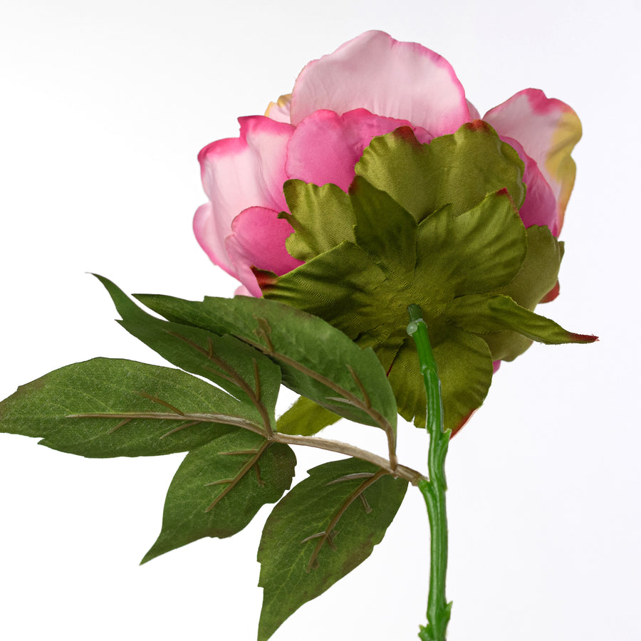 13" Short Stem Peony: Pink