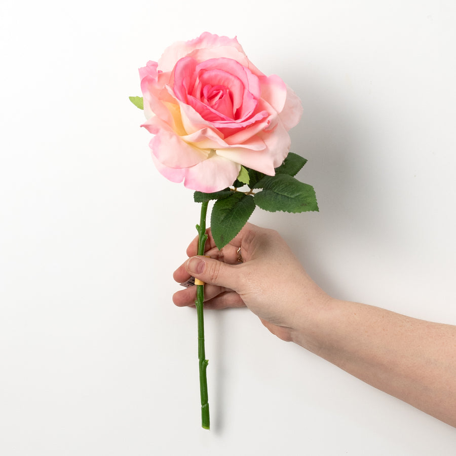 13" Short Stem Rose: Pink