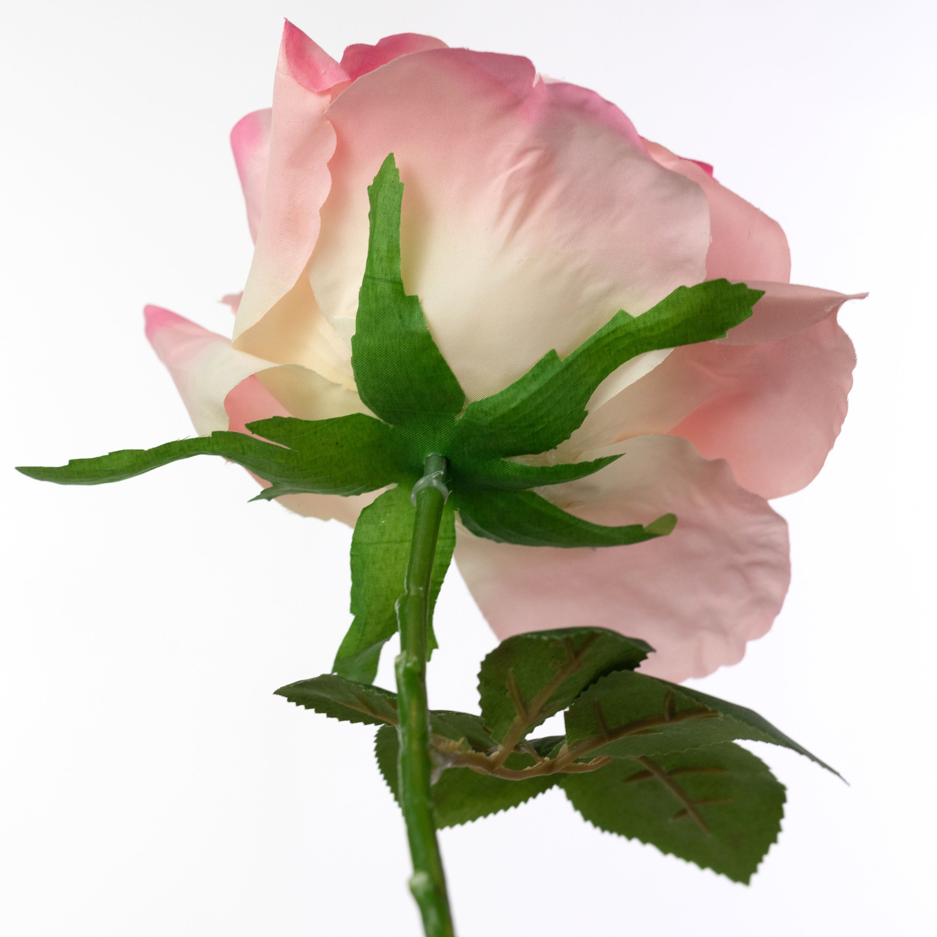 13" Short Stem Rose: Pink