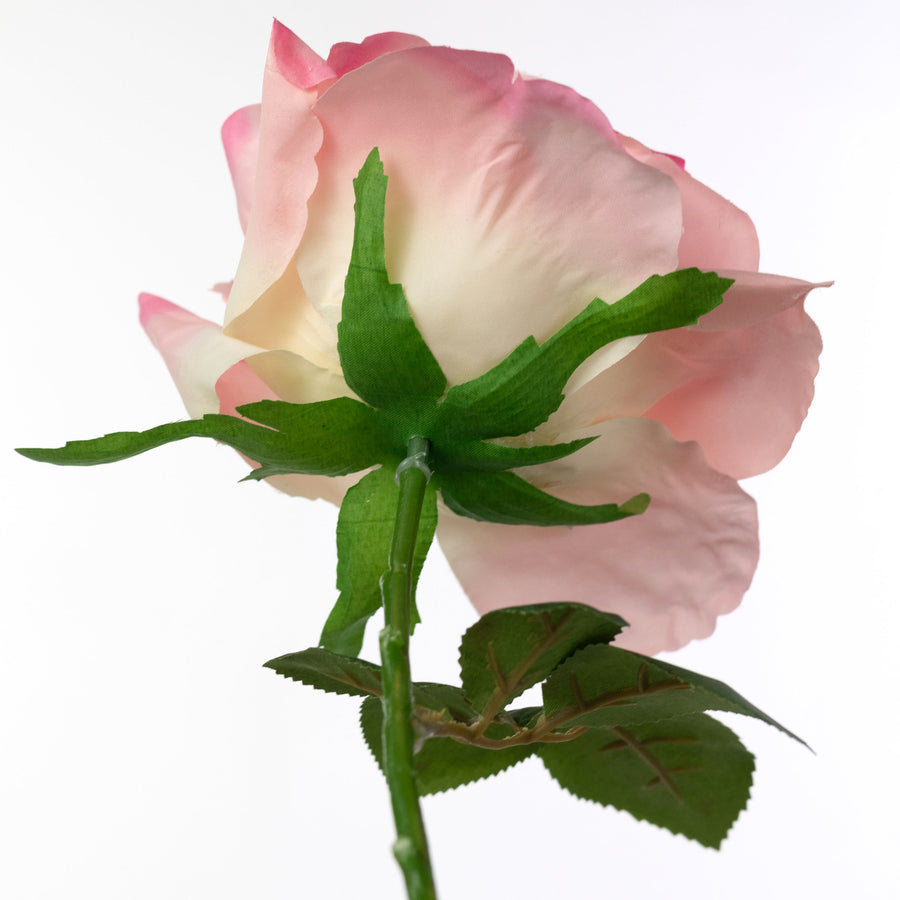 13" Short Stem Rose: Pink