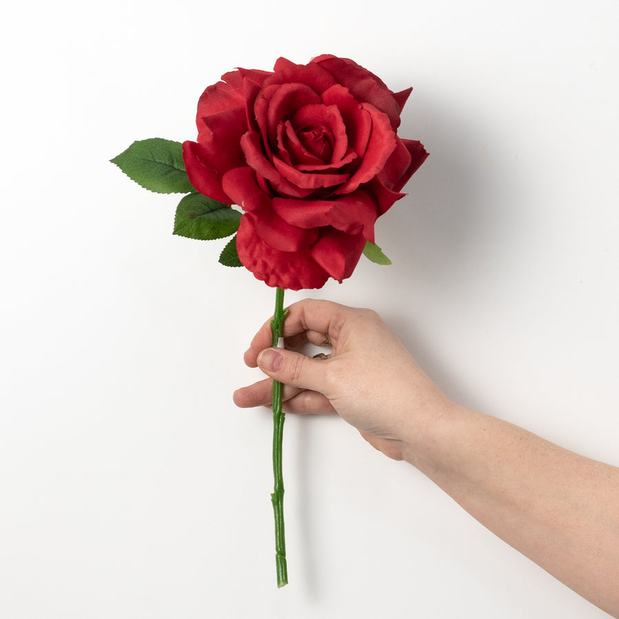 13" Short Stem Rose: Red