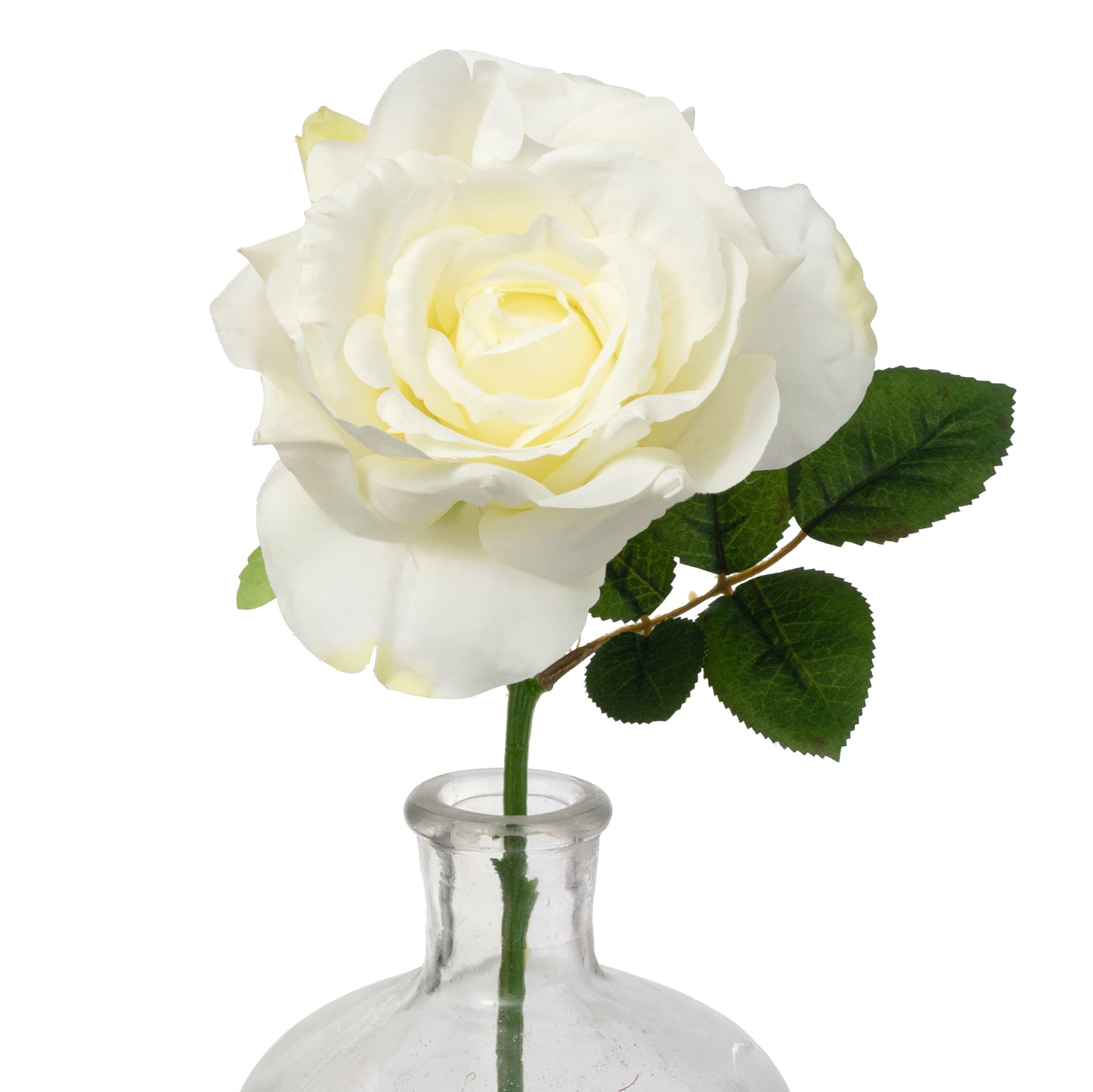 13" Short Stem Rose: Cream